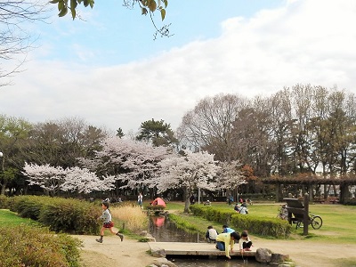 昆陽池公園